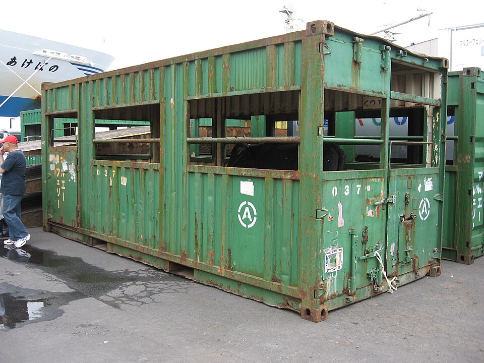 10ft Used Cargo Worthy shipping container